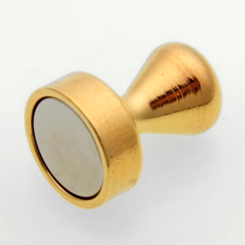 Mini Noten Magnet (Goldline)